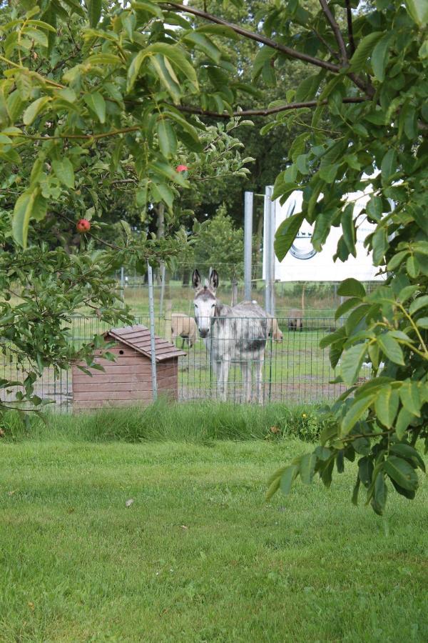 Balzwiekje Auszeit Auf Pferdehof In Ostfriesland Ihlow  Exterior photo